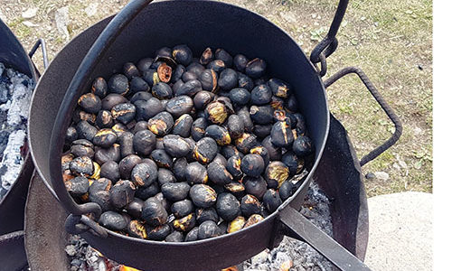 Chestsnuts at Restaurant Alpe Foppa – 8th and 15th of October