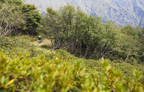 Monte Tamaro - In the heart of the hills