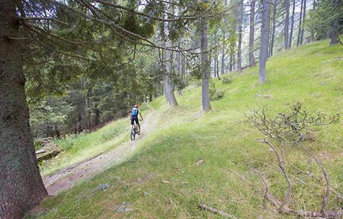 Monte Tamaro - On the traces of Lugano Bike