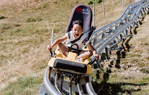 Luge d'été