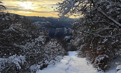 Percorso per racchette Pian di Mora – Alpe Foppa